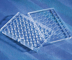 艾本德 細胞培養(yǎng)板