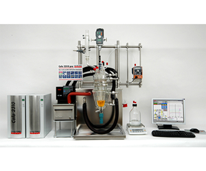 瑞士Systag全自動(dòng)反應(yīng)量熱儀Calo2310