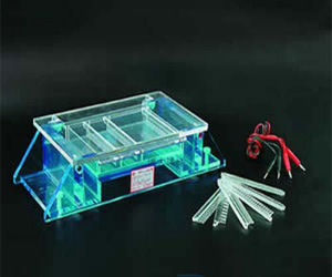 DYCP-34A型瓊脂糖水平槽(大號(hào))