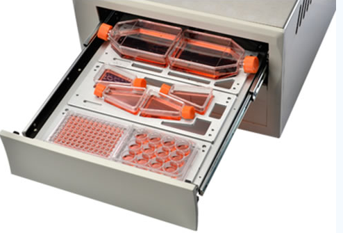 IncuCyte長時間動態(tài)活細(xì)胞成像系統(tǒng)