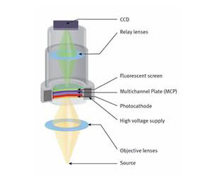 法國Biospace lab 小動(dòng)物實(shí)時(shí)活體成像系統(tǒng)