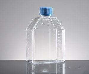 353018美國(guó)BD Falcon細(xì)胞培養(yǎng)瓶