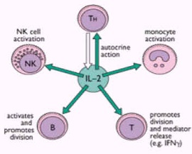 重組白細胞介素