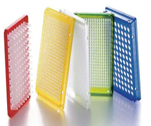 艾本德96孔PCR板 無色，白色，藍色