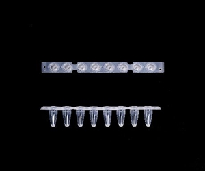 0.2ml八聯(lián)排PCR管，光學(xué)平蓋，透明，科進(jìn)/KIRGEN