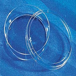 康寧/Corning430166細(xì)胞培養(yǎng)皿(60mm) TC處理，無(wú)菌