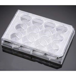 BD Falcon 6孔 細胞培養(yǎng)板353846Primaria,平底,帶蓋