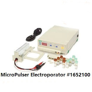 美國(guó)伯樂電穿孔儀