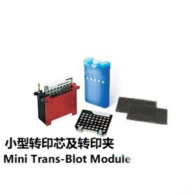 小型轉(zhuǎn)印芯及轉(zhuǎn)印夾