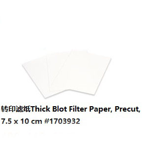 轉(zhuǎn)印濾紙7.5X10cm