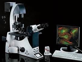 Leica徠卡研究級(jí)倒置生物顯微鏡DMI6000 B