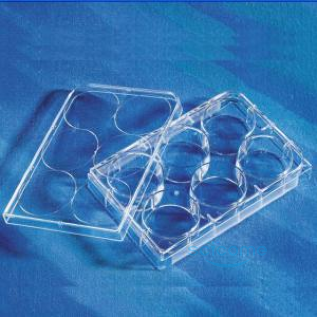 6孔細(xì)胞培養(yǎng)板