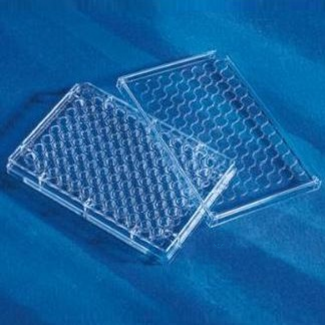 96孔標(biāo)準(zhǔn)透明板