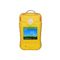 手持式氨氣NH3氣體檢測(cè)報(bào)警儀