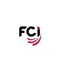 原裝FCI質(zhì)量流量計(jì)