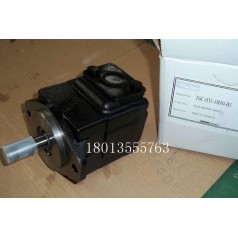 丹尼遜DENISON液壓泵型號(hào)T6DC-038-025-1R00-C100