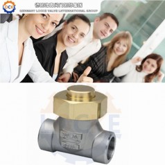 進口低溫絲扣止回閥性能參數(shù),報價/價格,圖片