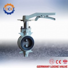 進(jìn)口對(duì)夾式蝶閥性能參數(shù),報(bào)價(jià)/價(jià)格,圖片