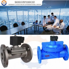 進口鑄鐵電磁閥性能參數(shù),報價/價格,圖片