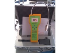 CA-2100H天然氣檢測(cè)儀，便攜式可燃?xì)怏w探測(cè)器