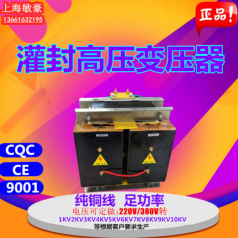 定制環(huán)氧灌封升壓高壓變壓器220V380V轉1KV2KV3KV5KV6KV8KV10KV等