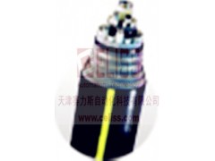 Nexans高溫電纜進(jìn)口