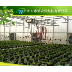 雙軌懸掛噴灌機價優(yōu)，雙軌懸掛噴灌機價格