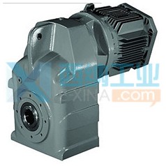 英國radicon齒輪泵