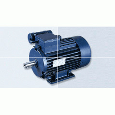 德國Birkenbeul單向標(biāo)準(zhǔn)電機(jī)