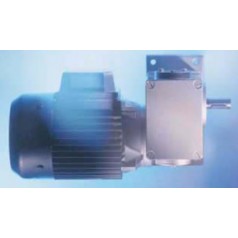 德國RGM電機(jī)