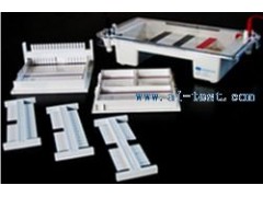 水平電泳槽/中國水平電泳槽A131729