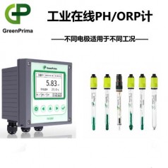 PM8200P發(fā)電廠水質(zhì)PH在線檢測(cè)儀英國(guó)GREENPRIMA