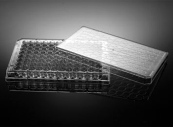 NEST® 96孔細胞培養(yǎng)板，透明，平底，PS，TC，EB滅菌 701001