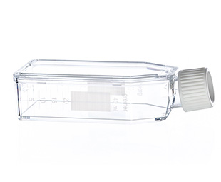 懸浮細胞培養(yǎng)瓶（懸浮式，滅菌） 690190 50ml，白色標準蓋