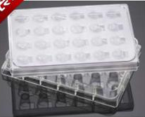 BD/HTS FluoroBlok細胞培養(yǎng)池配套用板-353502