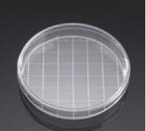 BD Falcon 網(wǎng)格型標準平皿培養(yǎng)皿 353025 150×25mm,標準TC
