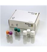 Freelite血清游離輕鏈（FLC）檢測(cè)試劑