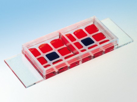 ibidi，易必迪細(xì)胞共培養(yǎng)Co-Cultivation μ-Slide 2 x 9 well