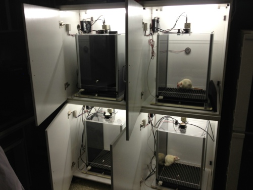 場景恐懼實(shí)驗(yàn)分析系統(tǒng)