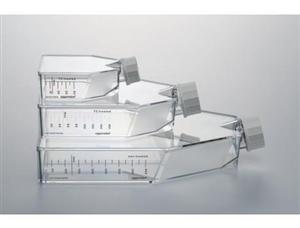 細(xì)胞培養(yǎng)瓶（T-75，0030711017）