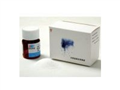 COD試劑LH-D、E試劑500樣供應(yīng) | 銘成基業(yè)