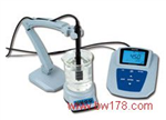 實(shí)驗(yàn)室溶解氧測(cè)量?jī)x 溶解氧測(cè)量?jī)x 實(shí)驗(yàn)室溶解氧分析儀