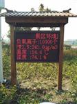 智能型負(fù)氧離子在線監(jiān)測(cè)系統(tǒng)，景區(qū)負(fù)氧離子監(jiān)測(cè)設(shè)備