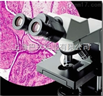奧林巴斯顯微鏡CX31系列CX31RTSF級(jí)代理