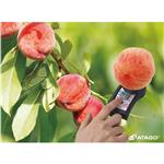 桃子糖份含量測(cè)試儀PAL-HIKARi10桃子無損糖度計(jì)