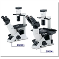 奧林巴斯CKX41倒置生物顯微鏡，CKX41生物顯微鏡